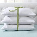 Fibre Pillows 