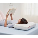 Memory Foam Pillow